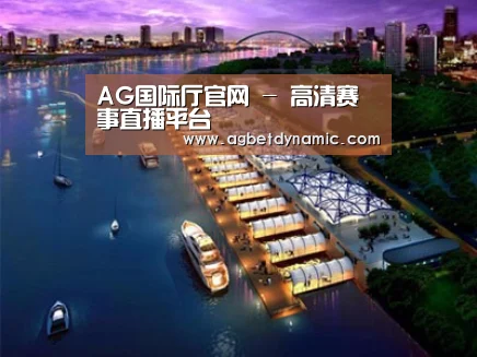 案例展示八