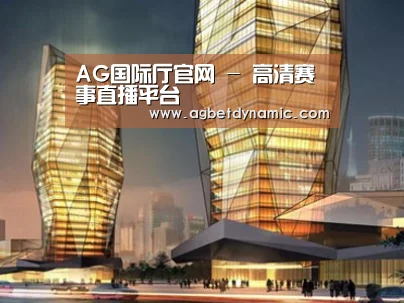 案例展示三