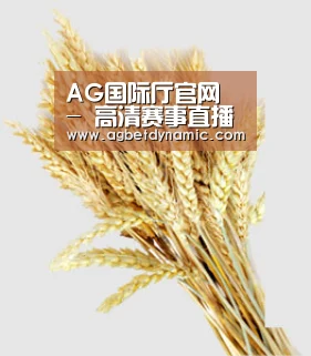 AG国际厅官网 - 高清赛事直播平台