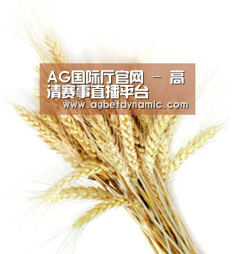 AG国际厅官网 - 高清赛事直播平台